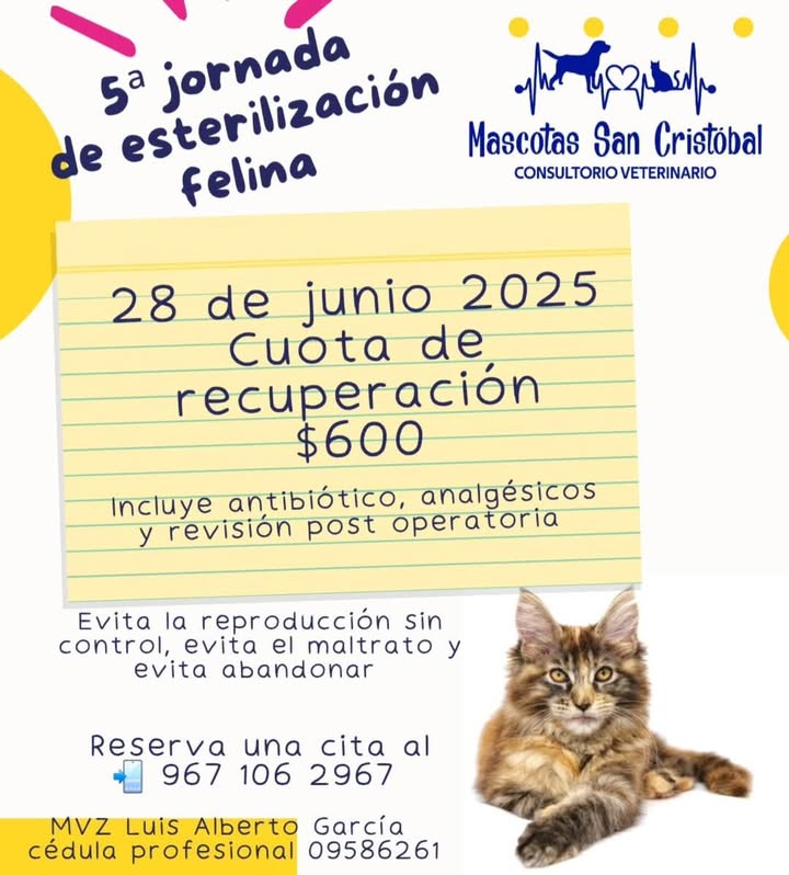 Imagen de WordPress