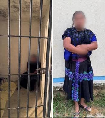 Grupo Interinstitucional rescata a una mujer en Chenalhó

– La víctima llevaba cuatro días retenida en los separos de la agencia municipal de Tzajalchén

La Fiscalía General del Estado, la Secretaría de la Defensa Nacional, la Guardia Nacional y la Secretaría de Seguridad del Pueblo, rescataron una mujer de identidad reservada, en el municipio de Chenalhó