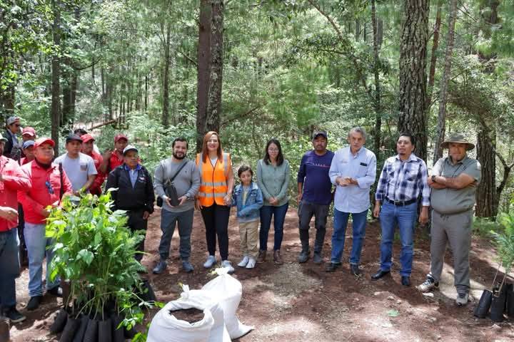 Preside Fabiola Ricci jornada de reforestación en el parque ecoturístico Montetik

San Cristóbal de Las Casas, 14 de junio de 2025